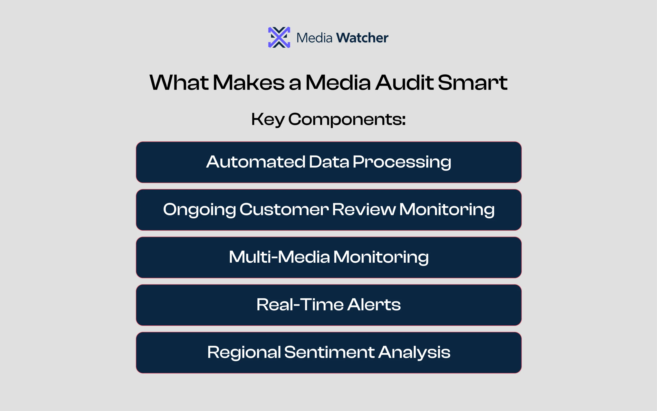 This infographic shows what components makes a media audit smart. 